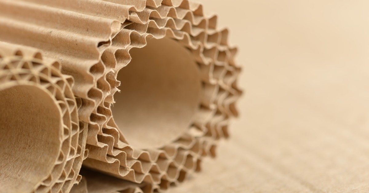 A close-up of two rolled-up fluted layers that go between fiber boards in corrugated packaging.