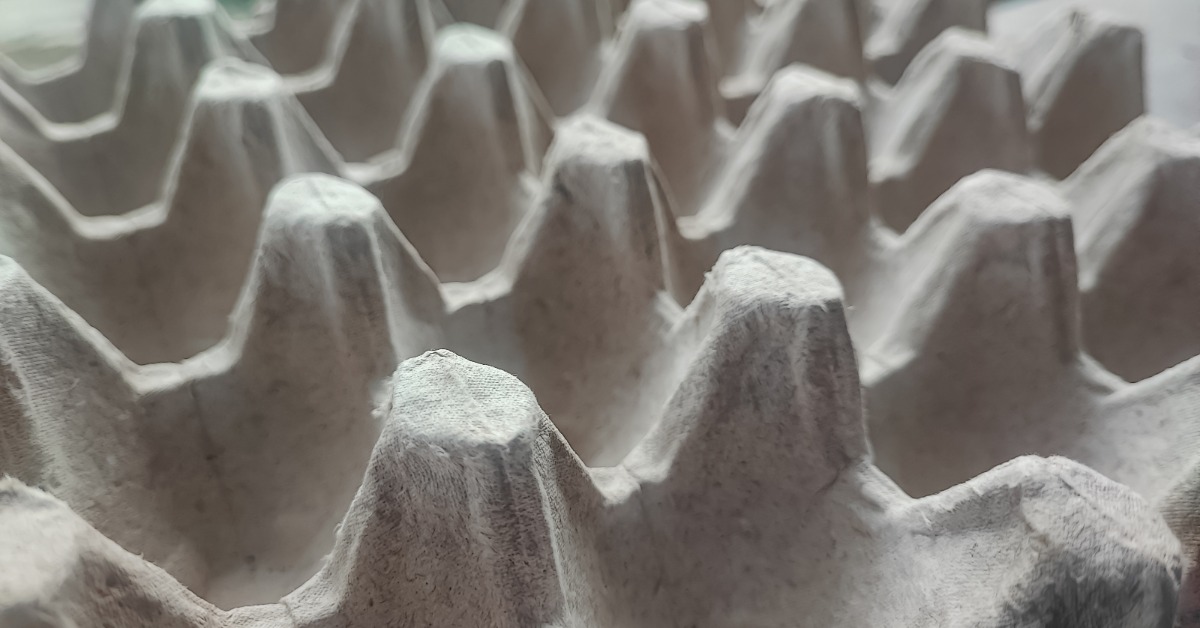 A close-up of a molded pulp carton tray with multiple compartments divided by small towers spread out evenly.
